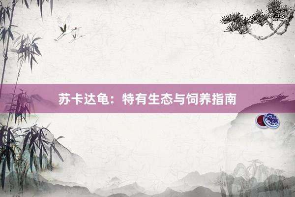 苏卡达龟：特有生态与饲养指南