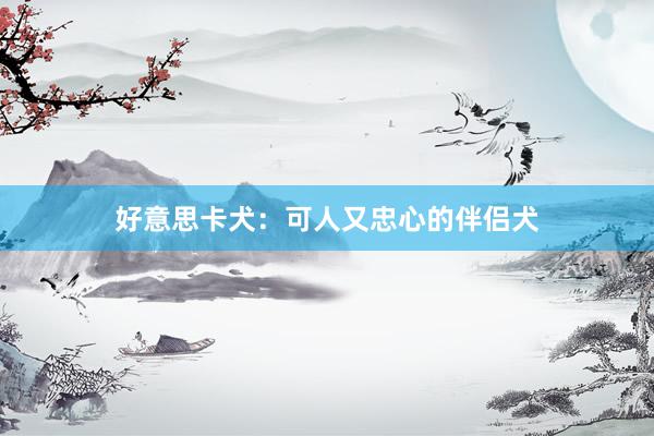 好意思卡犬：可人又忠心的伴侣犬